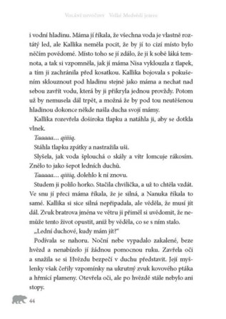 Ukázka