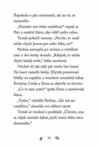 Ukázka