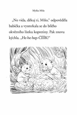 Ukázka
