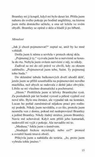 Ukázka