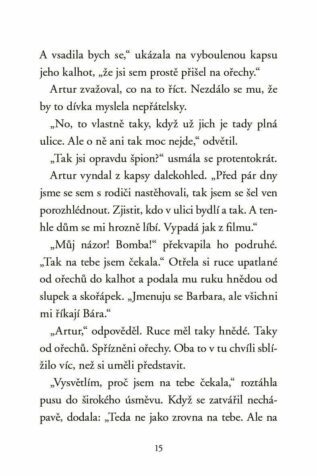 Ukázka