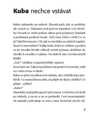 Ukázka