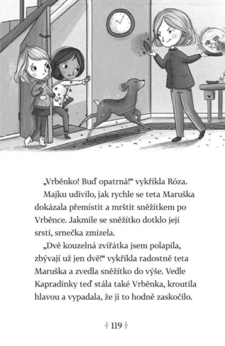 Ukázka