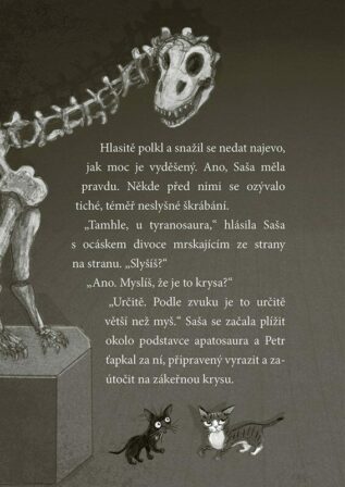 Ukázka