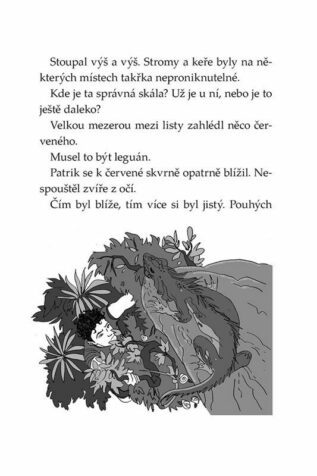 Ukázka