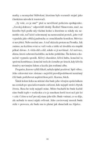 Ukázka