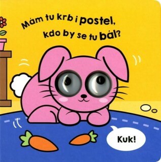 Ukázka