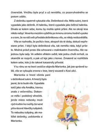 Ukázka