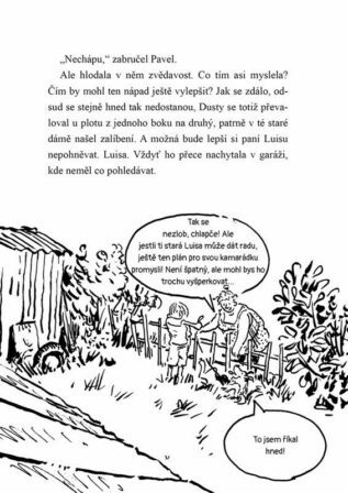 Ukázka