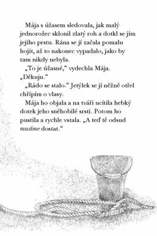 Ukázka