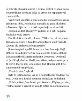 Ukázka