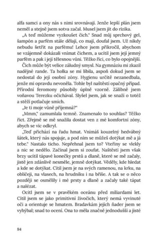 Ukázka