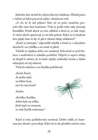 Ukázka