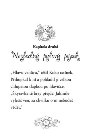 Ukázka