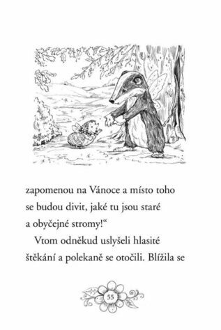 Ukázka