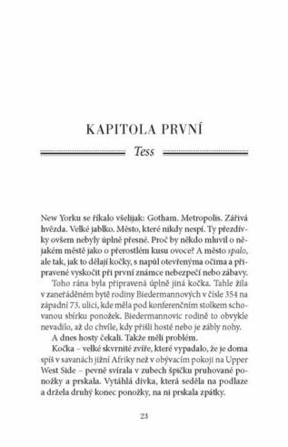 Ukázka