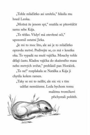 Ukázka