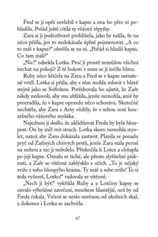 Ukázka