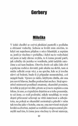Ukázka