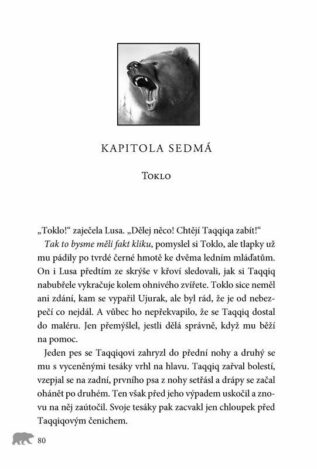 Ukázka