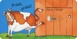 Ukázka