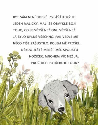 Ukázka