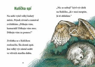 Ukázka