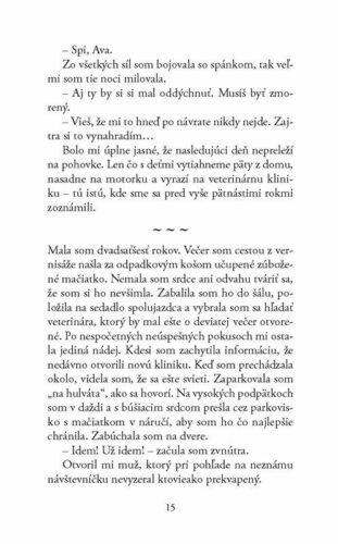 Ukázka