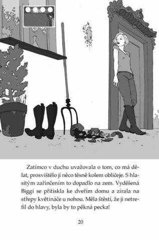 Ukázka