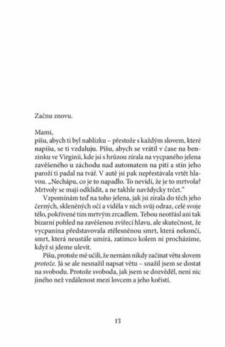 Ukázka