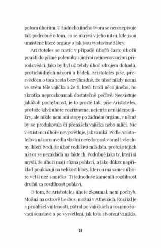 Ukázka