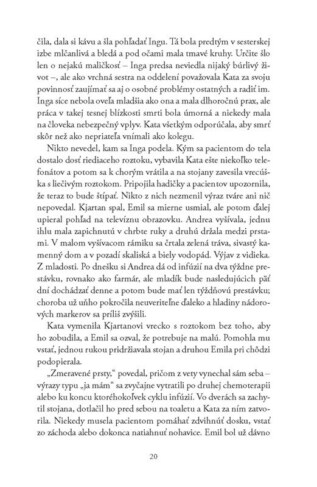 Ukázka