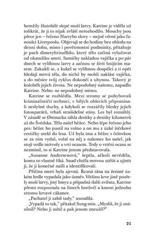 Ukázka