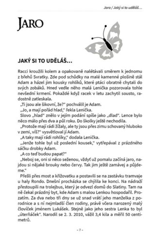 Ukázka