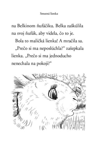 Ukázka