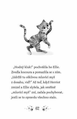 Ukázka