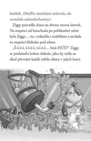 Ukázka