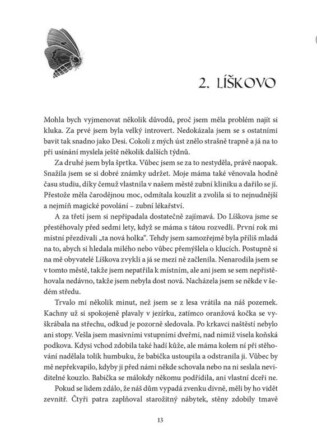 Ukázka