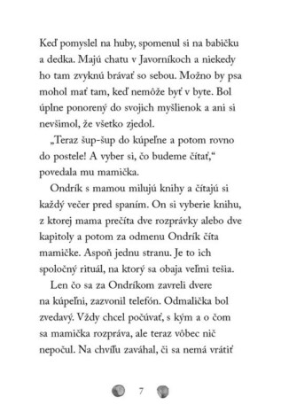 Ukázka