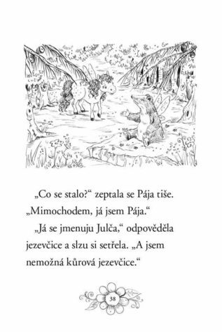 Ukázka