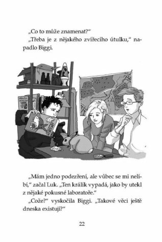 Ukázka