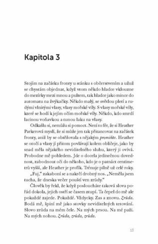 Ukázka