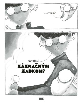 Ukázka