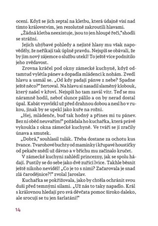 Ukázka