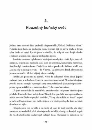 Ukázka