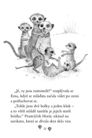 Ukázka