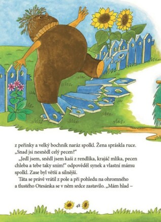 Ukázka