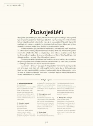 Ukázka