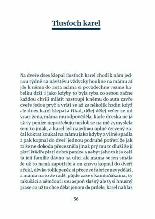 Ukázka