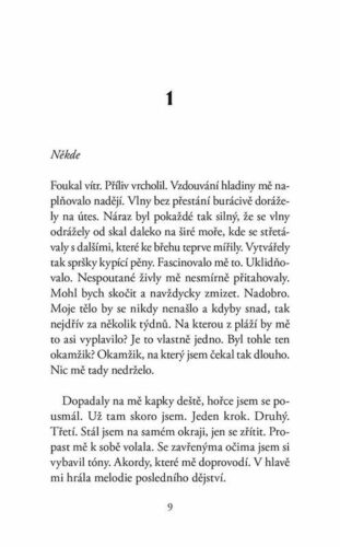 Ukázka